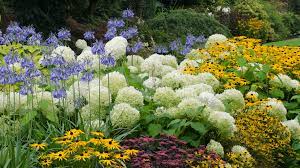 Creëer een Prachtige Vaste Planten Tuin voor Duurzame Schoonheid