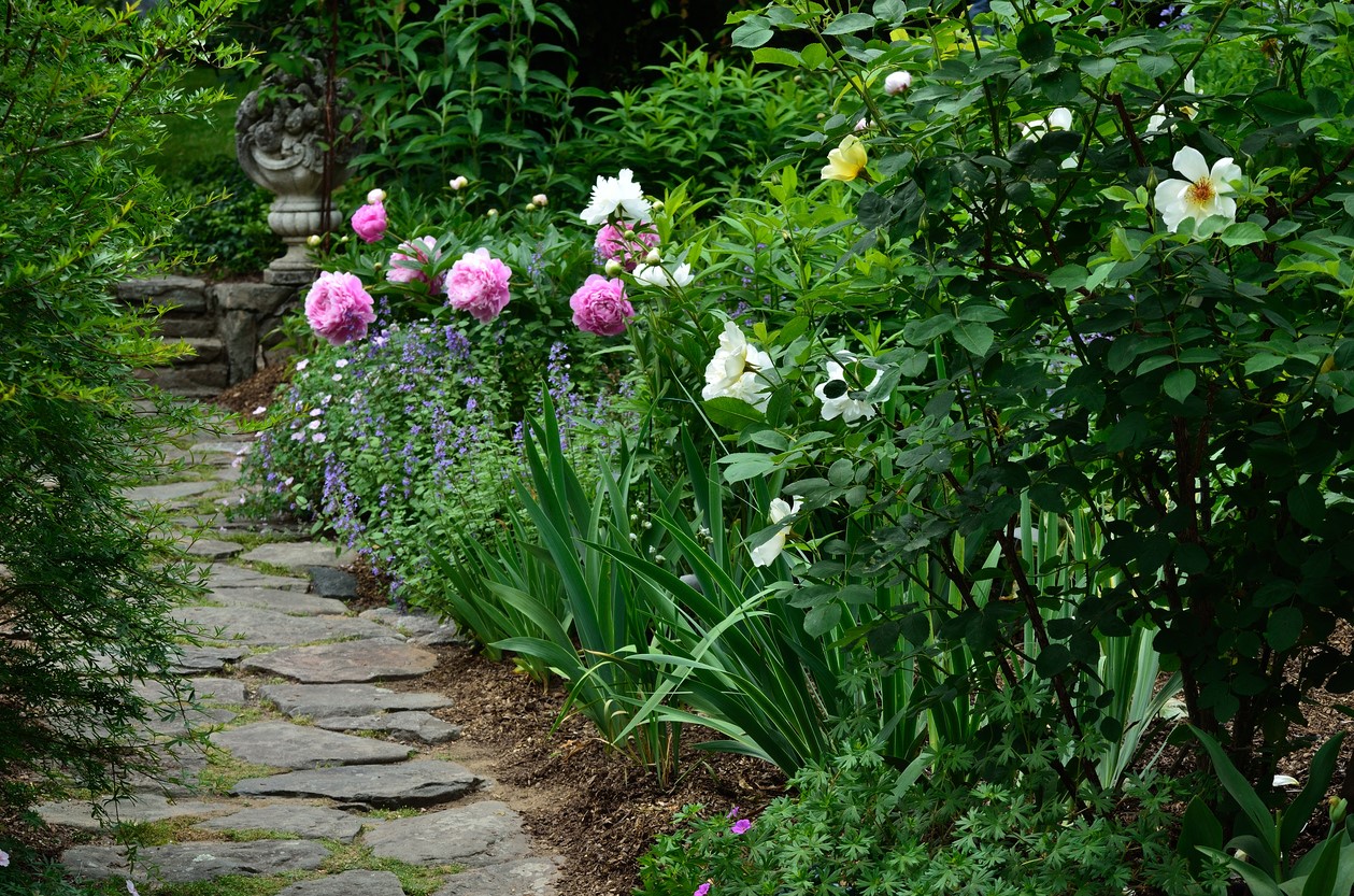 De betoverende schoonheid van de Engelse tuin: een oase van rust en inspiratie