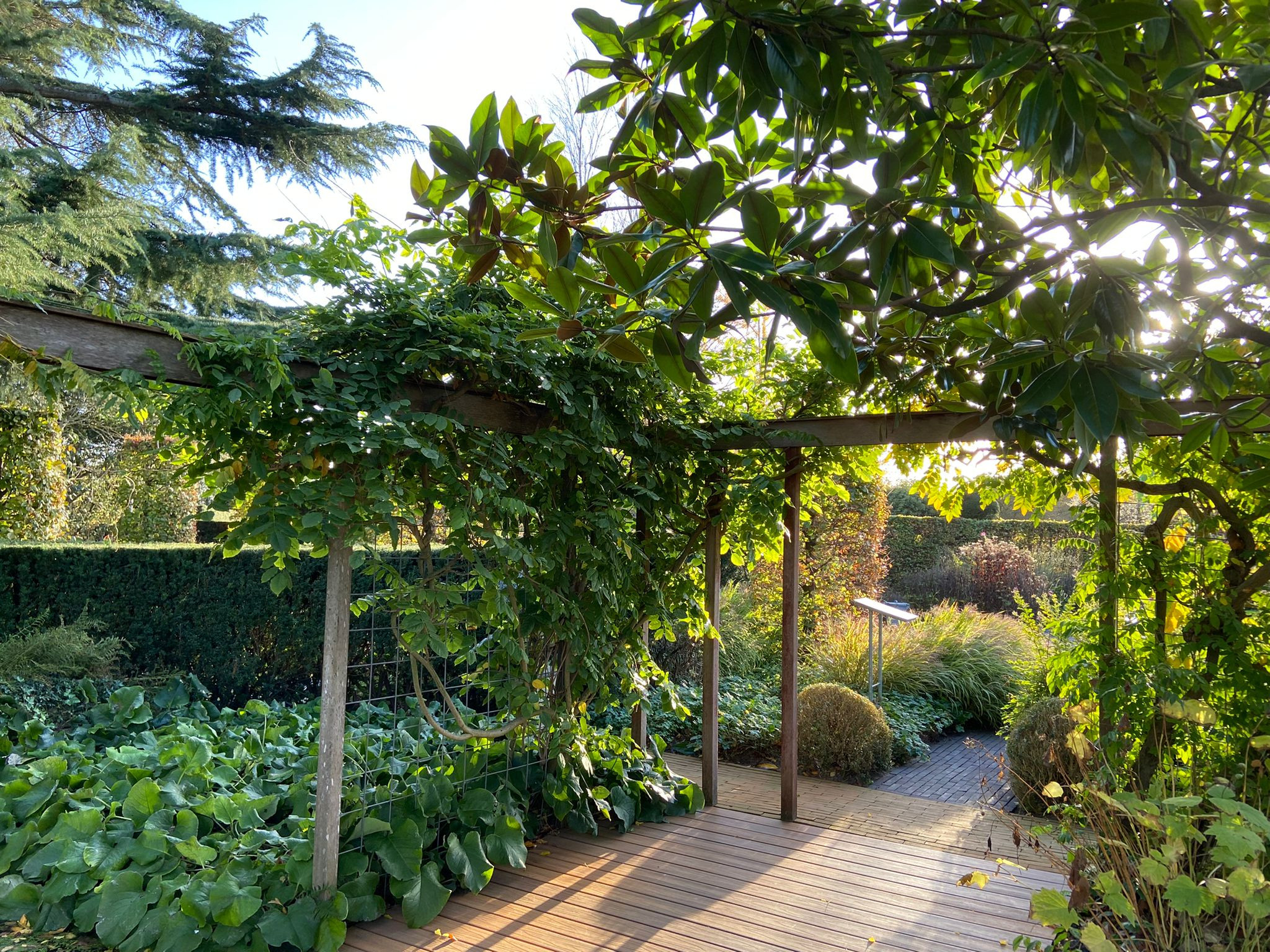 Creëer een Oase van Rust en Schoonheid met een Pergola in uw Tuin