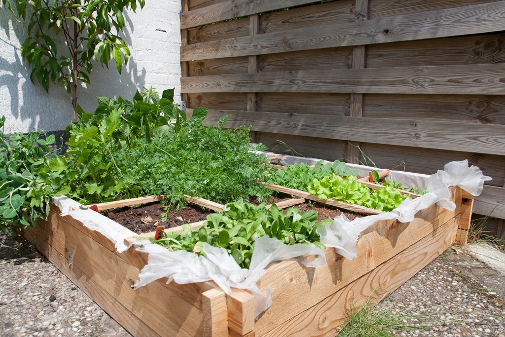 vierkante meter tuin