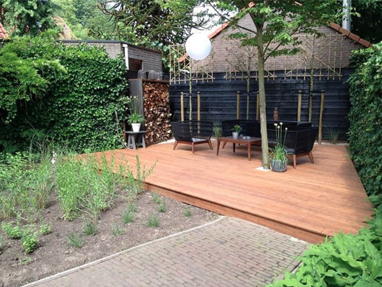 Creëer een Groene Oase: De Pracht van een Bamboe Tuin