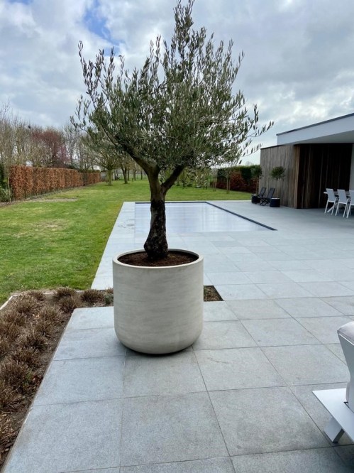 Creëer sfeer in uw tuin met prachtige bloembakken