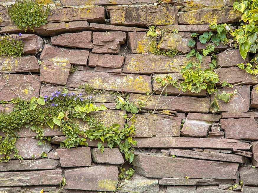 Creëer een Tijdloze Buitenruimte met een Prachtige Stenen Tuin