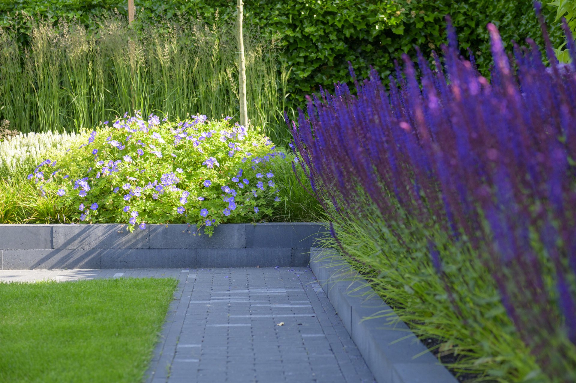 Kosten voor het bestraten van een tuin: Wat kun je verwachten?