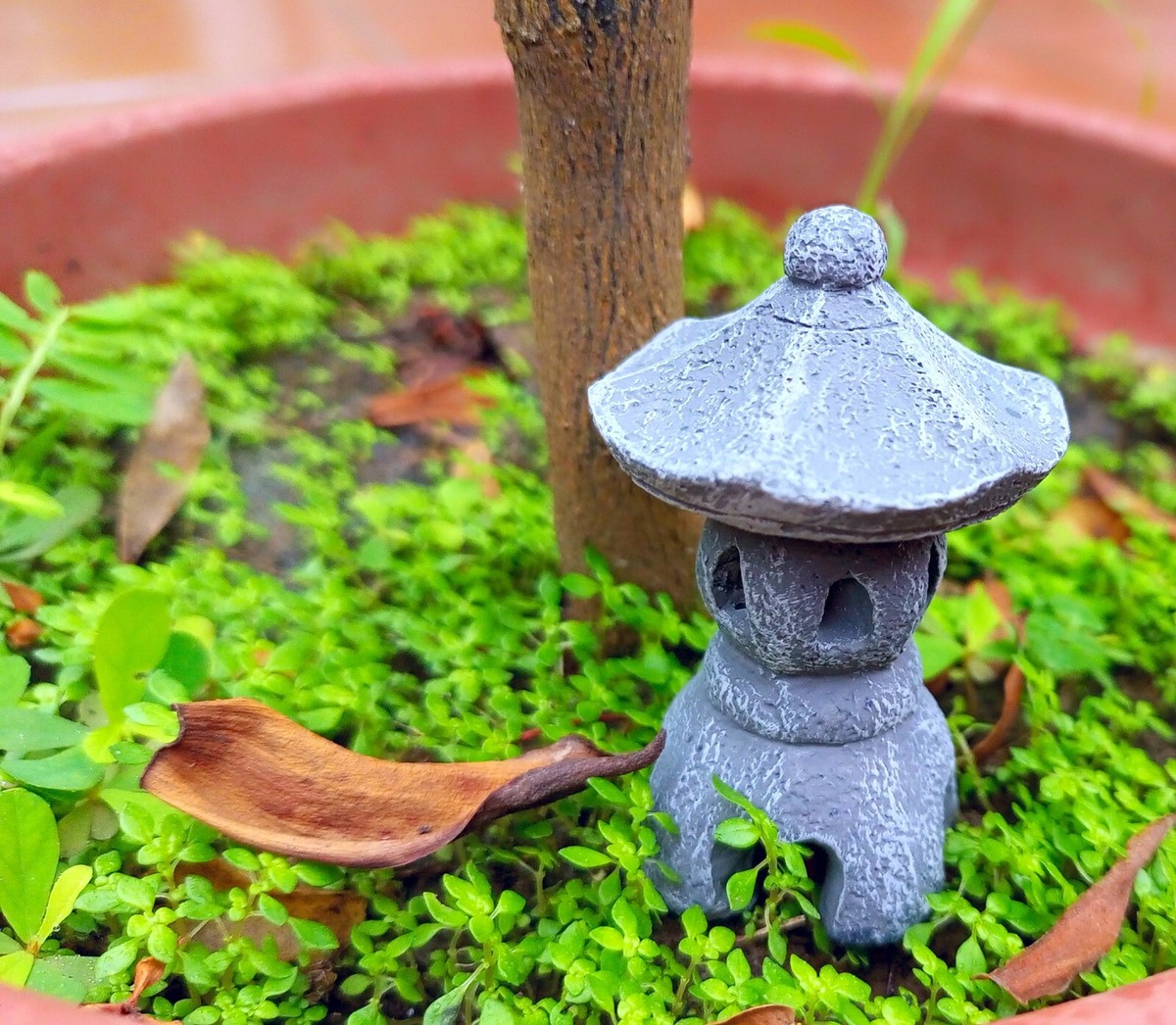 Transformeer je Tuin met Prachtige Tuinbeelden van Intratuin