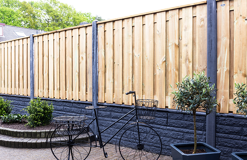 Creëer Privacy en Schoonheid met een Natuurlijke Afscheiding in uw Tuin