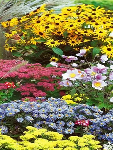 Verrijk uw Buitenruimte met Prachtige Tuin Flora