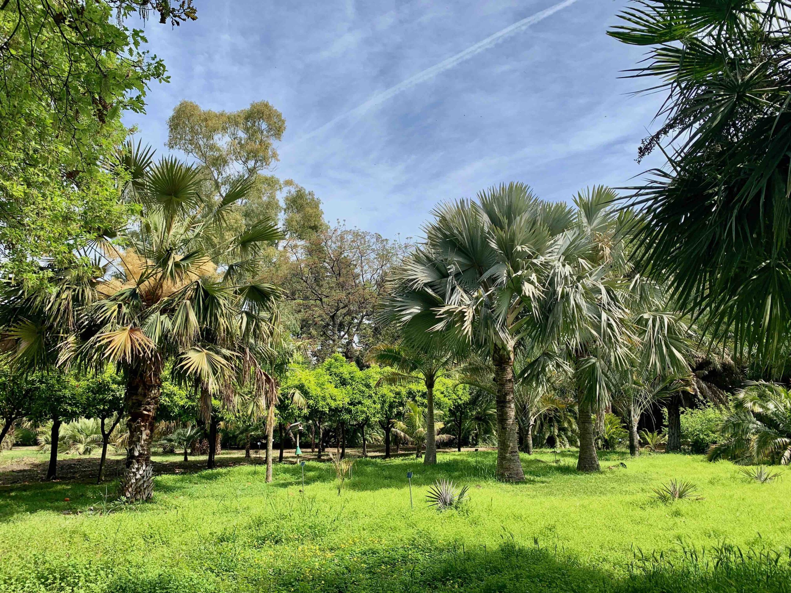 botanische tuin