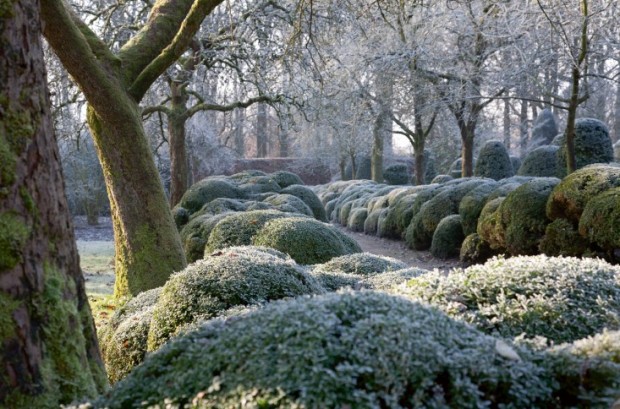 Wirtz Tuinen: Waar Kunst en Natuur Samenkomen in Harmonie
