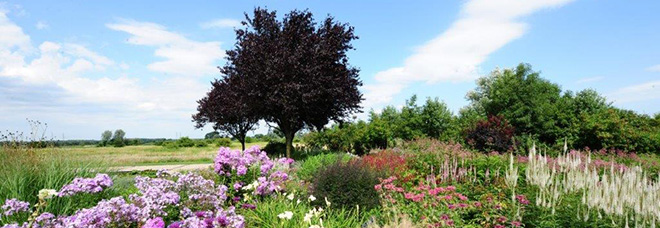 De Betoverende Schoonheid van de Tuin: Een Oase van Rust en Natuur